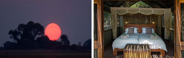 Busanga-Bush-Camp-3