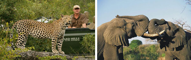 southern-Kruger-park southern-Kruger-park