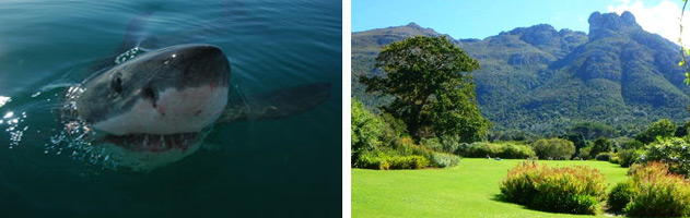 Cape-Town-and-Kruger-Holiday-Special-1