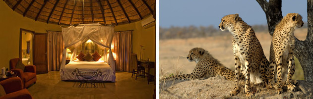 Cape-Town-and-Kruger-Holiday-Special-2