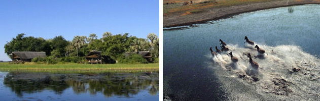 Khwai-River-Lodge-2 Khwai-River-Lodge-okavango-delta-botswana