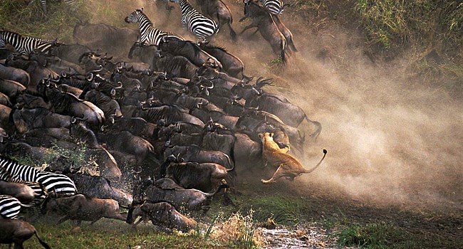Kenya 6